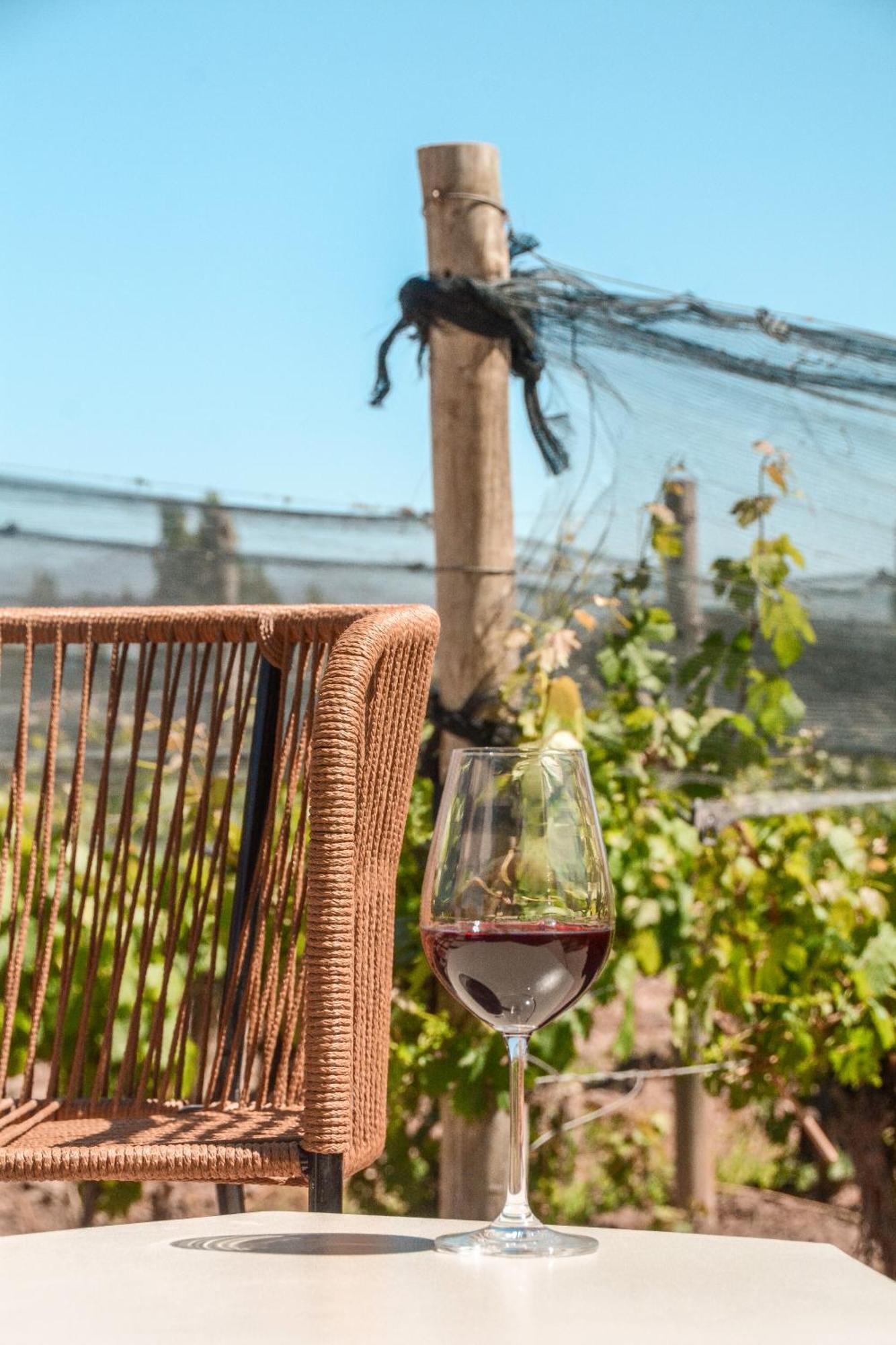 Agrelo Vines Lodge Zewnętrze zdjęcie