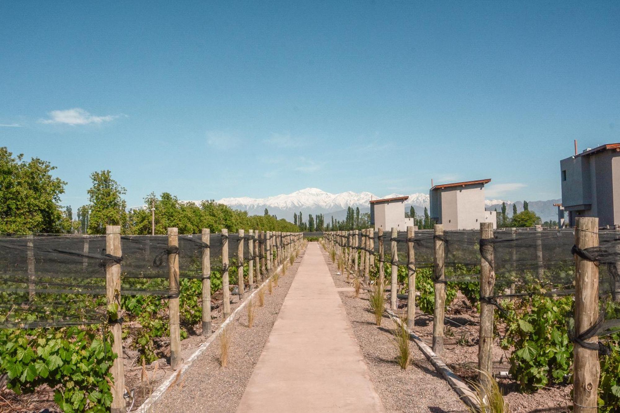 Agrelo Vines Lodge Zewnętrze zdjęcie