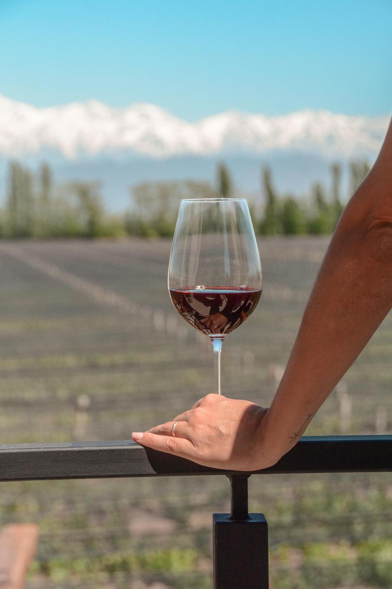 Agrelo Vines Lodge Zewnętrze zdjęcie