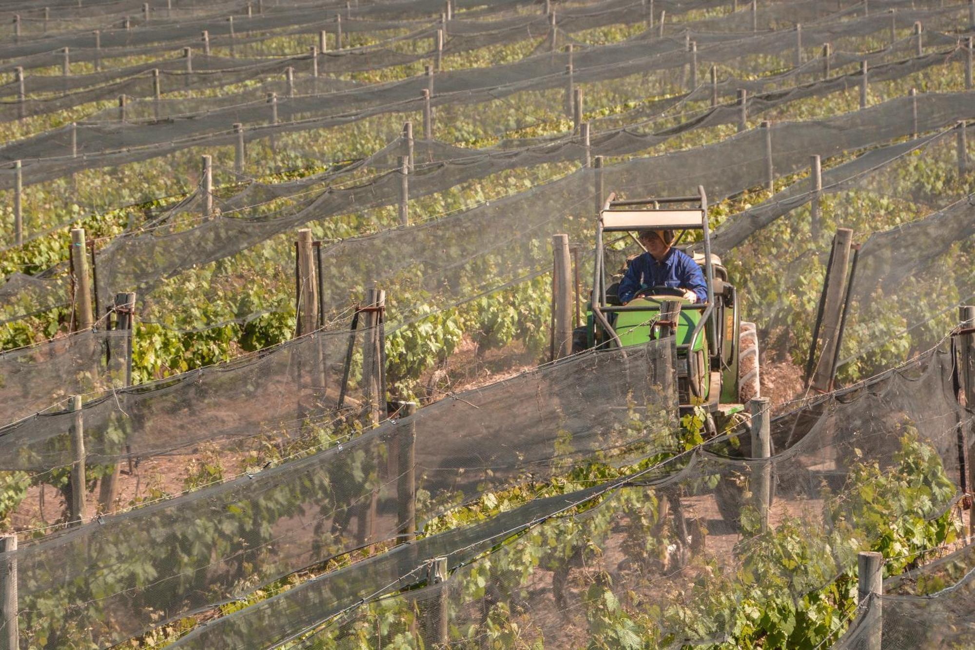 Agrelo Vines Lodge Zewnętrze zdjęcie